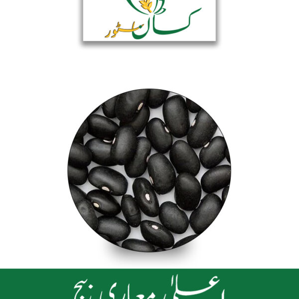 Black Turtle Bush Bean Seeds (Kala Lobia) Global Products Price in Pakistan