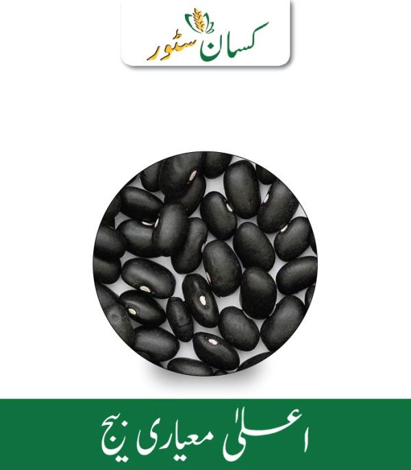Black Turtle Bush Bean Seeds (Kala Lobia) Global Products Price in Pakistan - Kissan Store