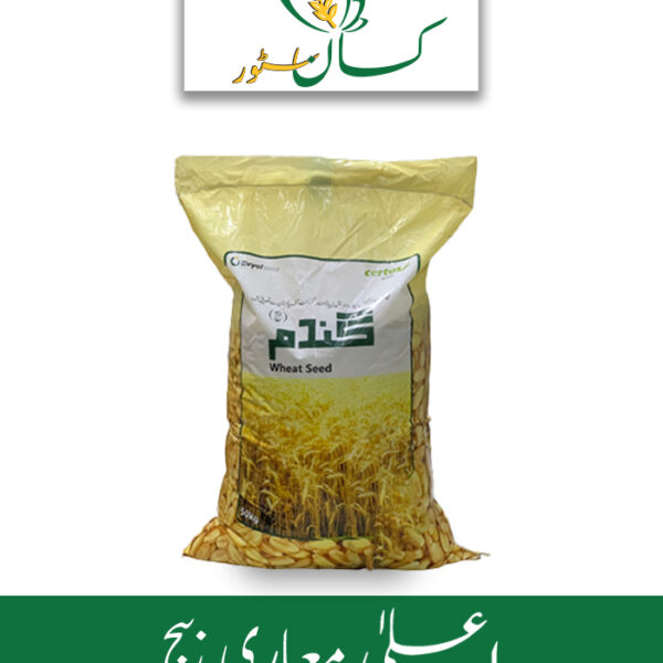 Dilkash 21 Wheat Seed Evyol Group Price in Pakistan
