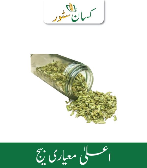 Fennel Seed 1kg Saunf Ka Beej Kissan Store