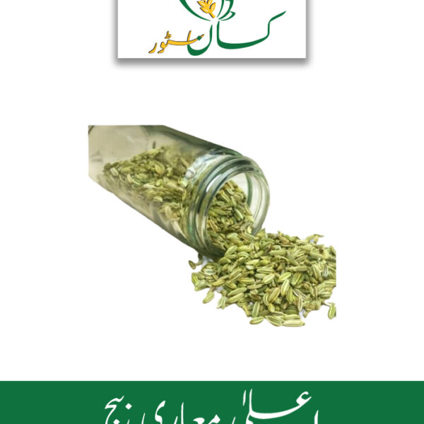 Fennel Seed (Saunf Ka Beej) Kissan Aarrth Price in Pakistan