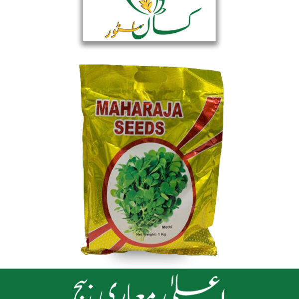 Methi Seed Kasuri Mathi Seeds Global Products Price in Pakistan