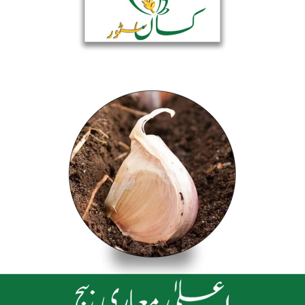 Narc G1 Original Garlic Seed Kisan Aarrth Price in Pakistan
