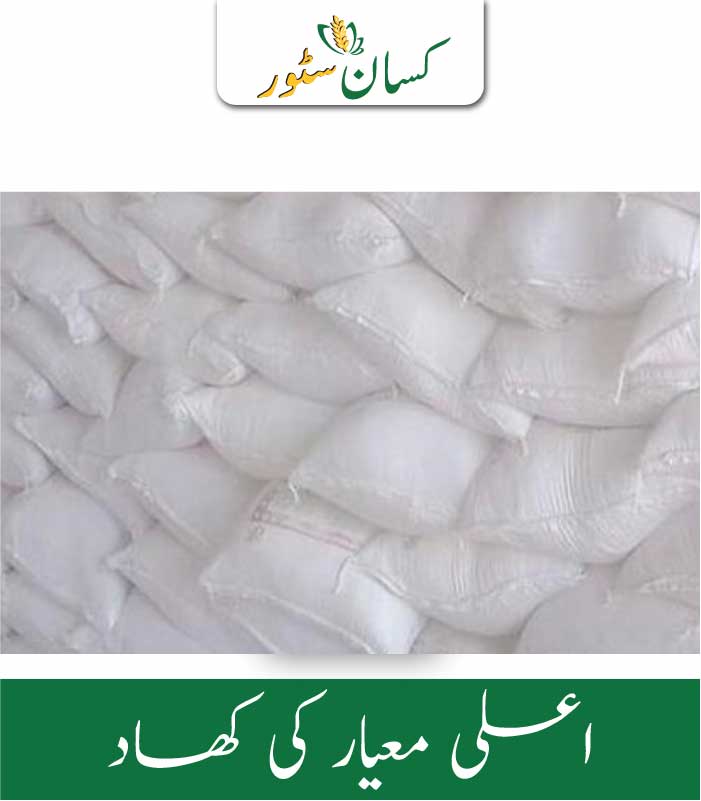 Natural Gypsum Calcium Global Products Fertilizer Price in Pakistan - Kissan Store Natural Gypsum Calcium Global Products Fertilizer Price in Pakistan - Kissan Store