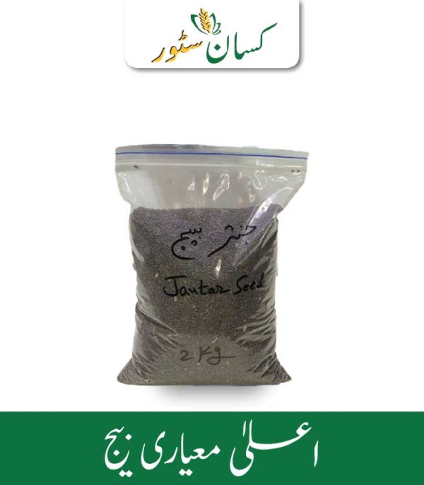 Natural Jantar, Dhaincha, Sesbania Gum Seeds Kamboh Aarrth Price in Pakistan