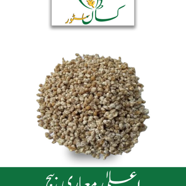 Natural Mushroom Spawn Seed Qarshi Industries Price in Pakistan