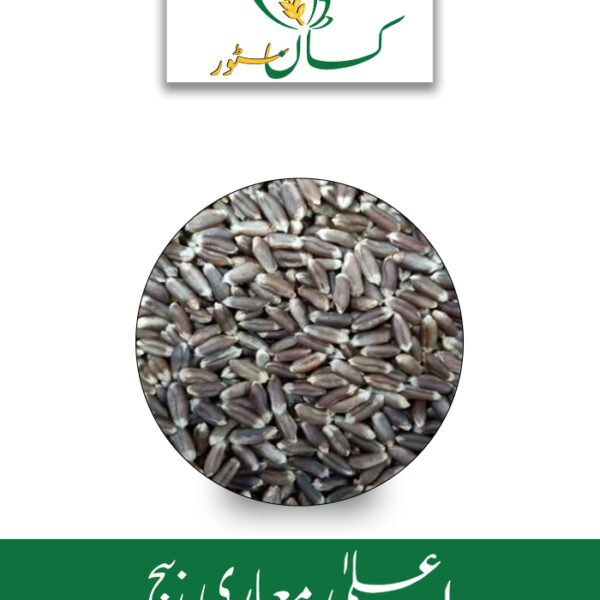 Organic Black Wheat Seed Kisan Aarrth Price in Pakistan