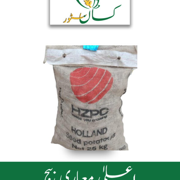 Potao Seed HZPC Holland Red Flamenco Global Products Price in Pakistan