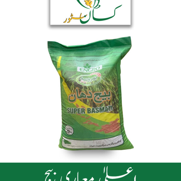 Rice Seed Al Khalid Basmati Long Grain Paddy Seed Evyol Group Price in Pakistan