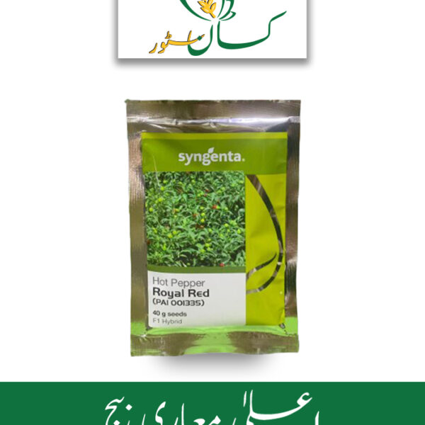 Royal Red Hot Pepper Chilli Seed F1 Hybrid Seed Syngenta Pakistan Price in Pakistan