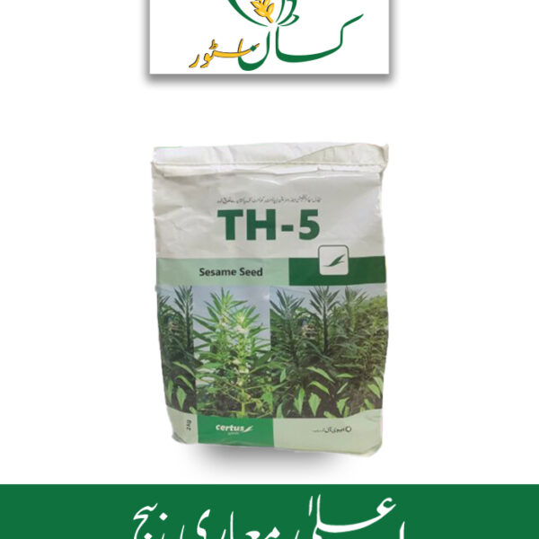 Sesame Seed Th-5 Evyol Kanzo Seasame Till Seed Price in Pakistan
