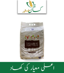 Tervalis Rudolf Group Price in Pakistan - Kissan Store