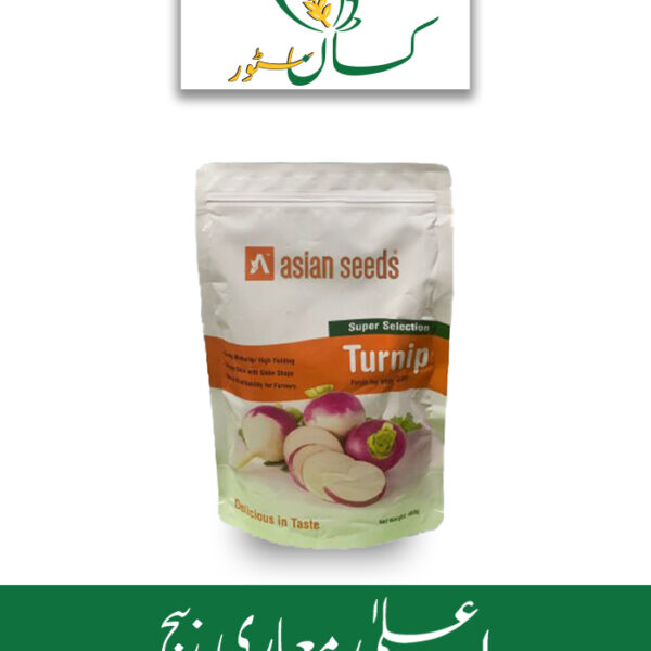 Turnip Purple Top White Globe Super Selection Asian Seed Price in Pakistan