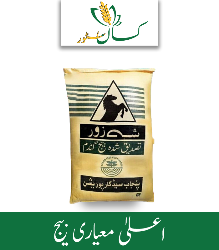 Akbar 19 Basic Wheat Seed Punjab Seed Corporation Price in Pakistan