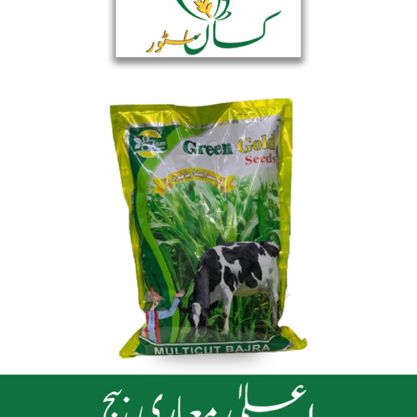 Bajra Multicut Millet Seed Green Gold Price in Pakistan