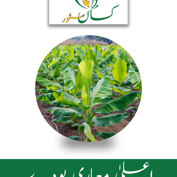 Banana Tissue Culture Plant 30pc Qarshi Industries Price in Pakistan