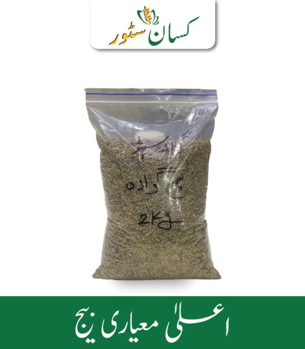 Cluster Beans Seeds (Guwara Beej) Kisan Aarrth Price in Pakistan - Kissan Store