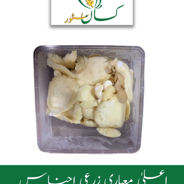 Mushroom (Pleurotus Ostreatus) 1kg Qarshi Industries Price in Pakistan