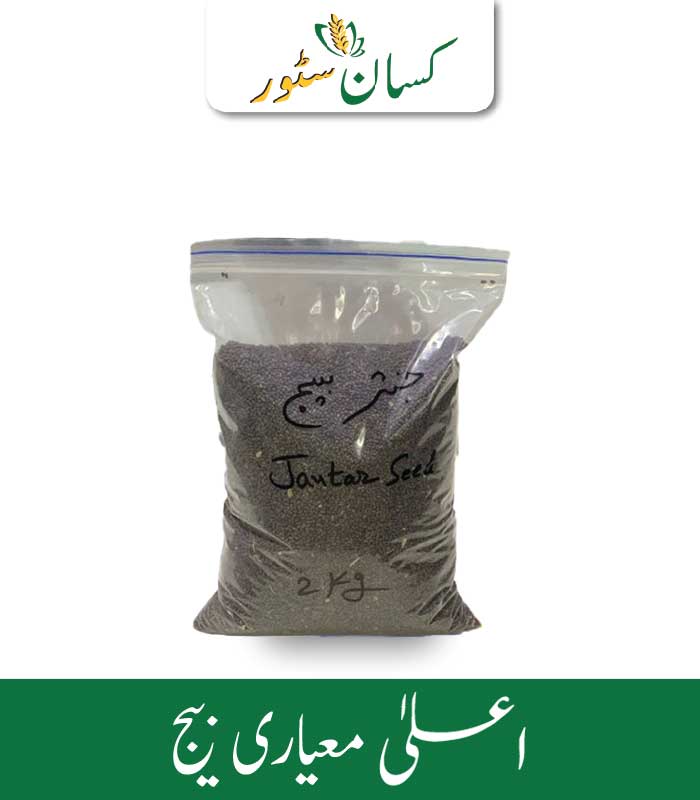 Natural Jantar - Kissan Store