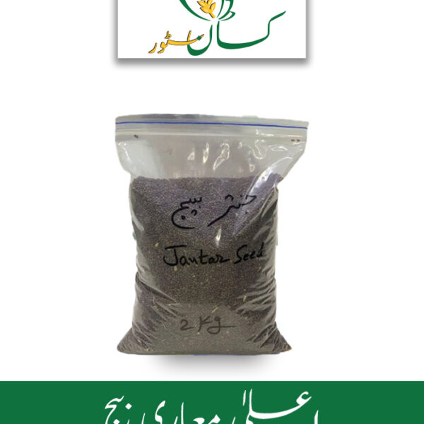 Natural Jantar Seeds Kisan Aarrth Price in Pakistan