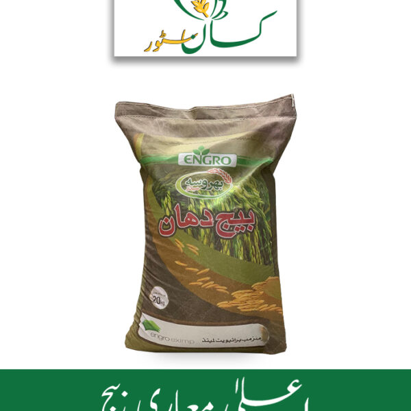 Pk-386 Paddy Seed Engro Rice Seed Price in Pakistan