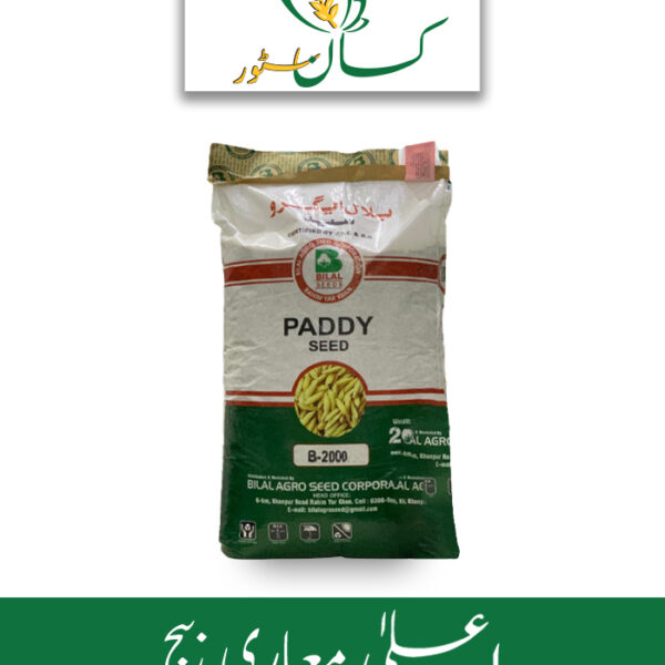 Rice Seed B 2000 Paddy Seed Bilal Agro Seed Corporation Price in Pakistan