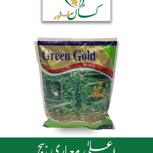 Sesame Seed (Till Beej) Ts 5 Green Gold Price in Pakistan