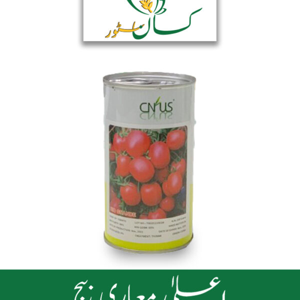 Tomato Rio Grande (Tamatar ka Beej) Green Gold Price in Pakistan