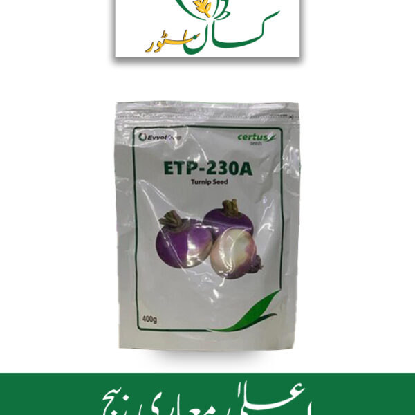 Turnip Seed Etp - 230a Evyol Group Price in Pakistan