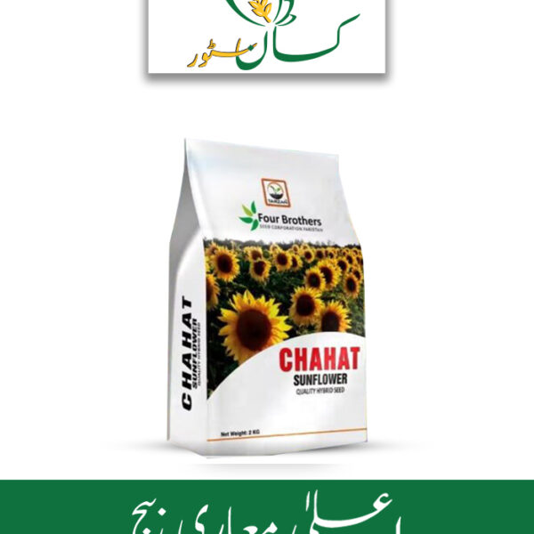 Chahat Sunflower Hybrid Seed Four Brothers Price in Pakistan