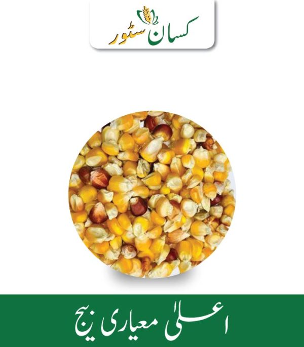 Desi Makki Seed (Animals Feed) Kisan Aarrth Price in Pakistan - Kissan Store