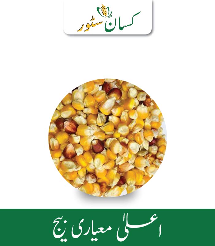 Desi Makki Seed (Animals Feed) Kisan Aarrth Price in Pakistan - Kissan Store