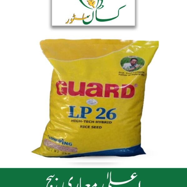 LP 26 Hybrid Rice Seed Global Products Price in Pakistan