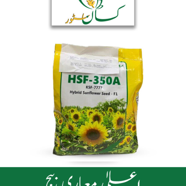 Sunflower Hybrid Seed F1 KSF 7777 Evyol Group Price in Pakistan