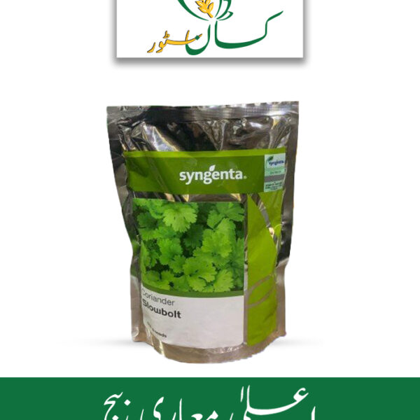 Coriander Seed Broad Leafs Syngenta Seeds Price in Pakistan