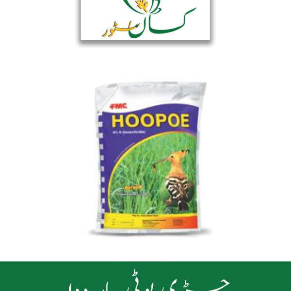Hoopoe Price in Pakistan - Kissan Store