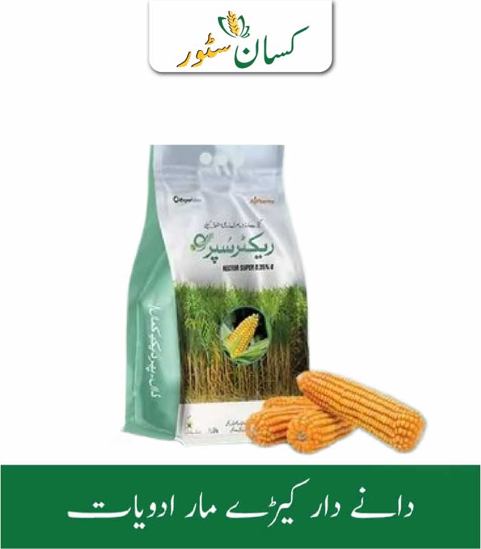 Rector Super Price in Pakistan - Kissan Store