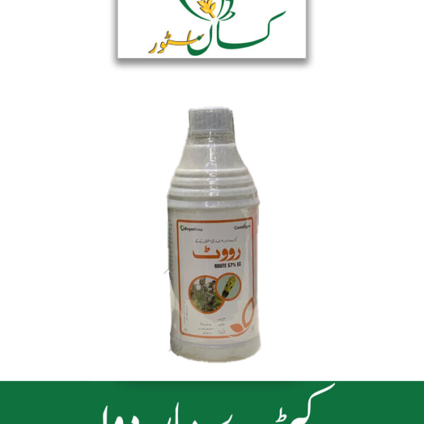 Route 500 ML Evyol Group Price in Pakistan