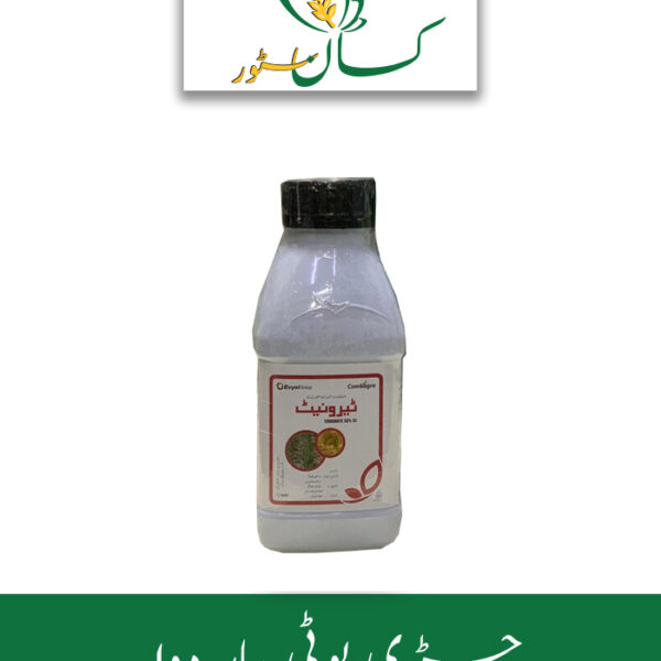 Terronate Evyol Group 200 ML Price in Pakistan