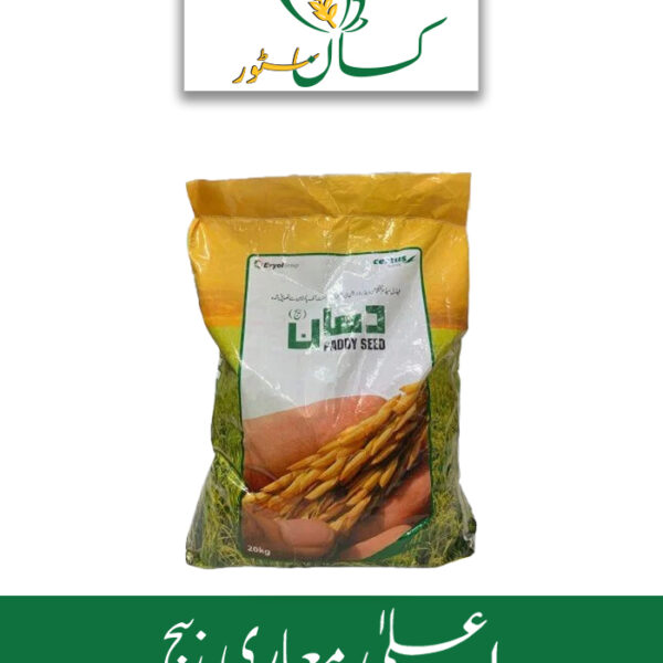 KSK 133 Rice Seed Evyol Group Price in Pakistan