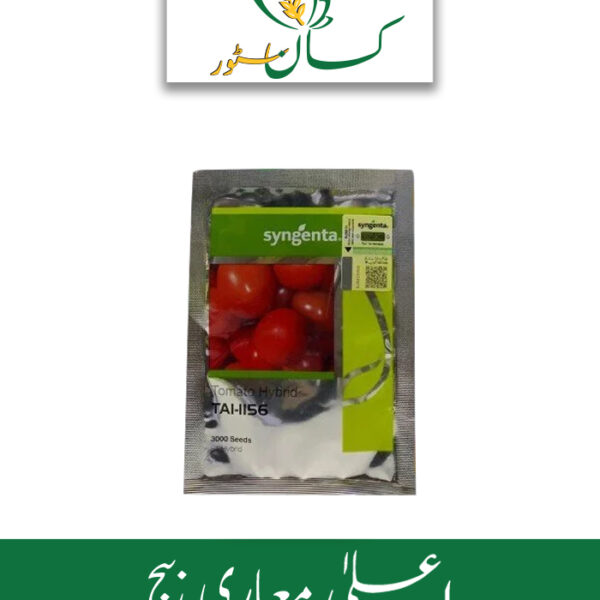 Tomato Hybrid TAI 1156 F1 Syngenta Seed Price in Pakistan