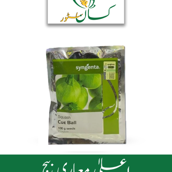 Squash Cue Ball Seeds F1 Hybrid Syngenta Price in Pakistan