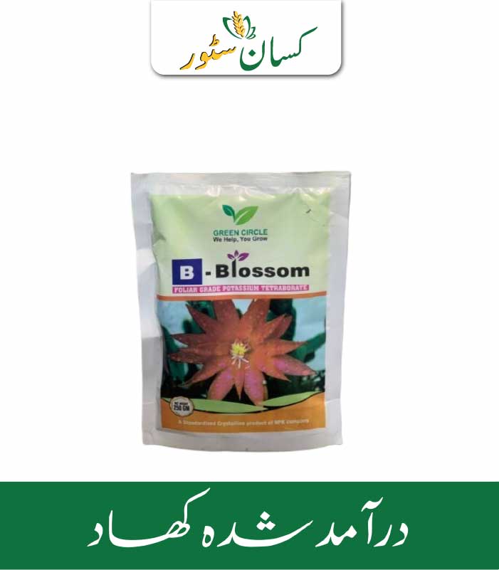 Blossom Green Circle Price in Pakistan