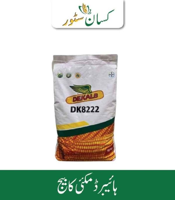 Dk8222 Hybrid Corn Seed Dekalb Bayer Price in Pakistan - Kissan Store