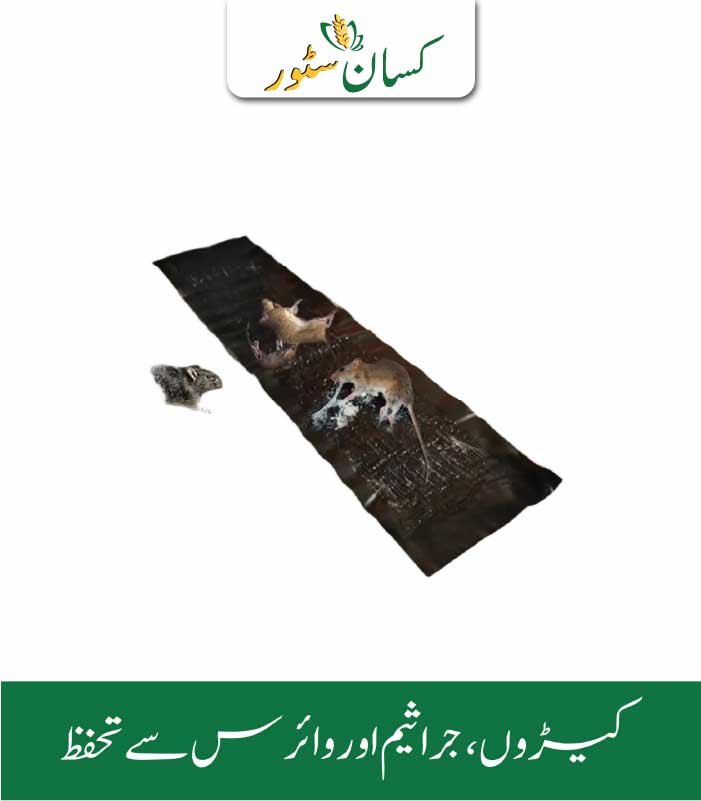 RatMice Traps Mat Agro Power Price in Pakistan RatMice Traps Mat Agro Power Price in Pakistan