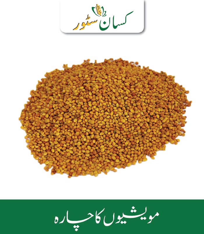 Barseem Seed ( Haro Desi Berseem ) Kamboh Aarrth Price in Pakistan - Kissan Store