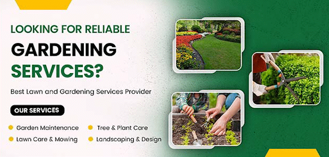 Kitchen Gardening Through Kissan Store