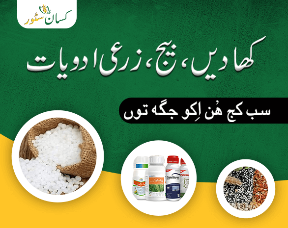 Slider-1-Kissan-Store - Online Agriculture Store in Pakistan