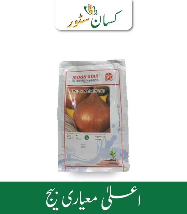 Onion Nasarpuri 1kg - Kissan Store