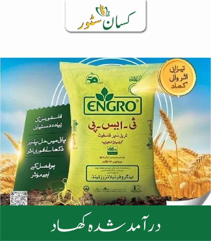 TSP 50kg Triple Super Phosphate Engro Price in Pakistan - Kissan Store TSP 50kg Triple Super Phosphate Engro Price in Pakistan - Kissan Store